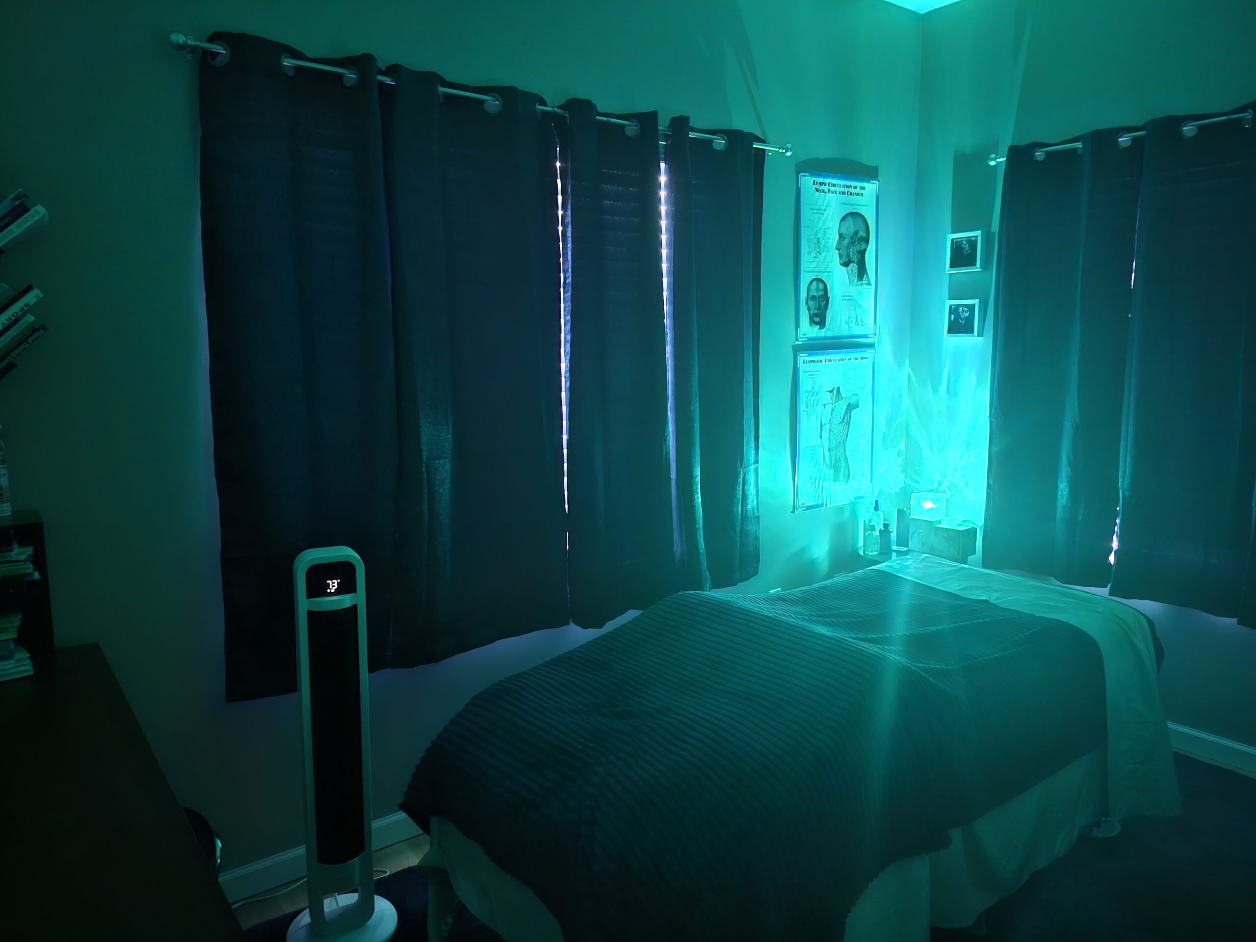 Washburn Lymph Works LLC